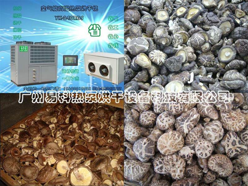 供應(yīng)空氣能香菇烘干機(jī)香菇熱泵烘干機(jī)