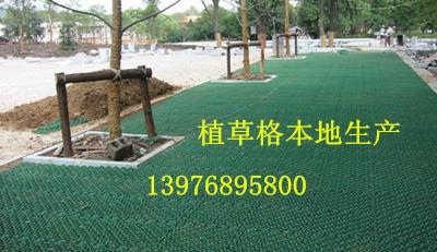 供應(yīng)保亭優(yōu)質(zhì)植草格?？诒镜禺a(chǎn)，保亭植草格?？谂l(fā)廠家