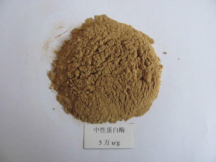 供應(yīng)中性蛋白酶