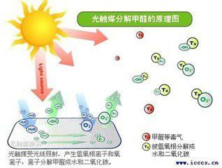 供应光触媒净化器图片