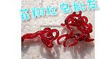 供應(yīng)輝縣鮮活大號(hào)母蟲批發(fā) 淇縣紅蟲供應(yīng) 衛(wèi)輝紅蟲批發(fā)