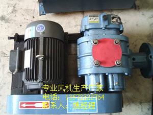 供應(yīng)雙級(jí)水冷高壓羅茨風(fēng)機(jī) 雙機(jī)串聯(lián)水冷高壓羅茨風(fēng)機(jī)廠家