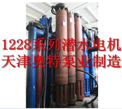 潛水電機圖片/潛水電機樣板圖 (4)