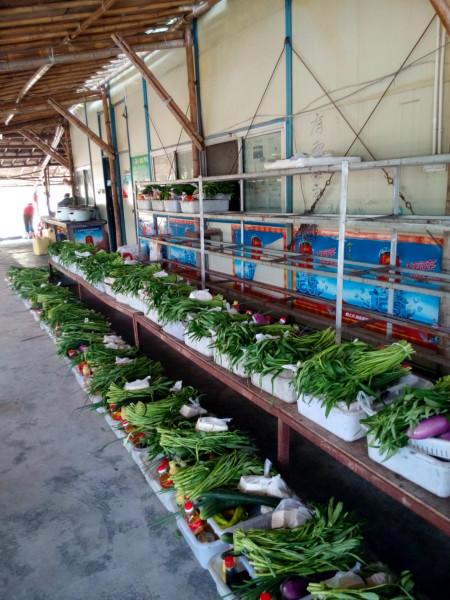 南澳萬綠生態(tài)園野炊休閑旅游圖片