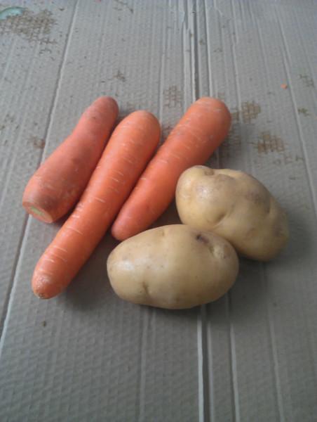 供應(yīng)土豆清洗脫皮機(jī)廠家直銷