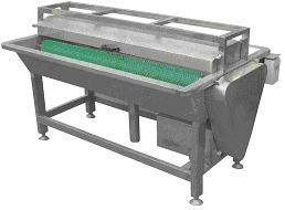 供應(yīng)鮑魚(yú)去雜清洗機(jī)