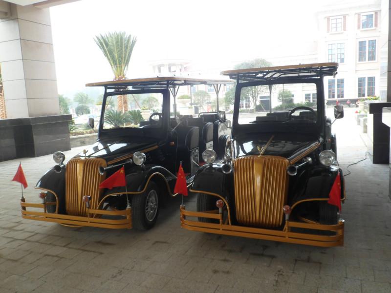 電動老爺車圖片/電動老爺車樣板圖 (2)