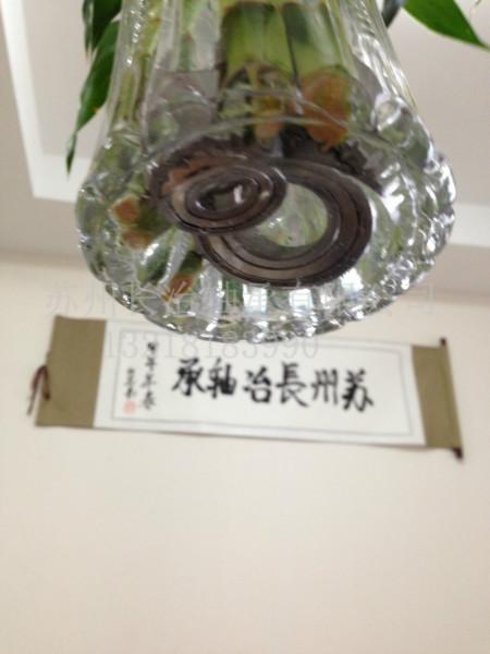 水下不銹鋼軸承圖片