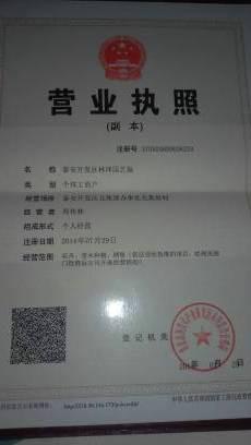 出售草莓苗圖片