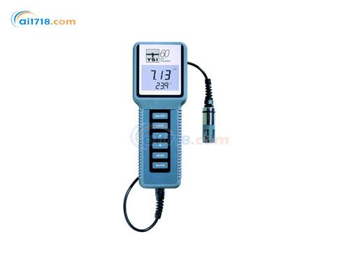供應(yīng)美國YSI60酸度/溫度測試儀