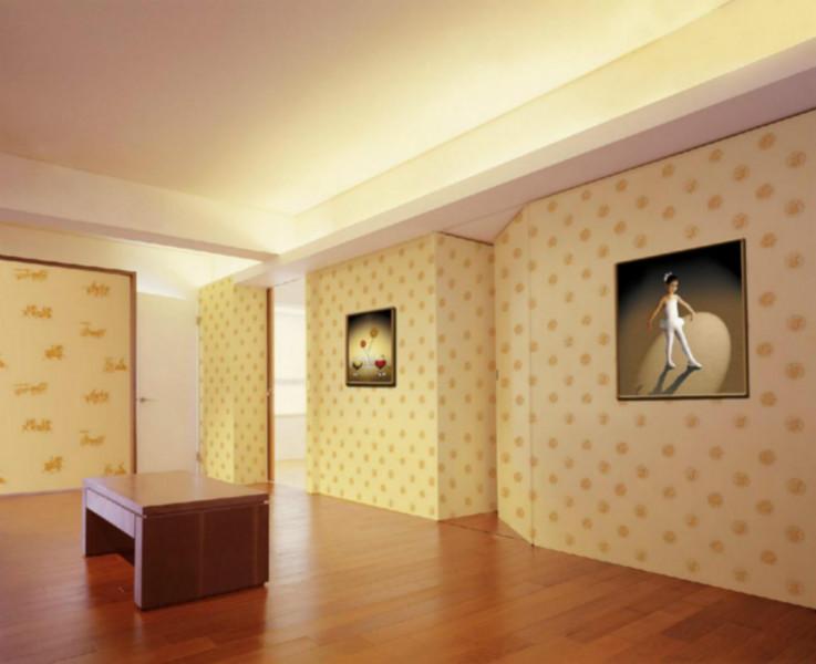 華博硅藻泥免費(fèi)培訓(xùn)硅藻全套施工工圖片