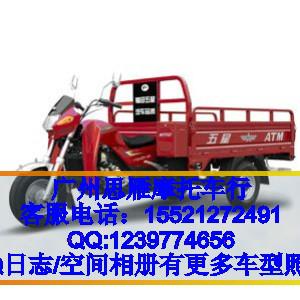 福田五星FT175ZH-3三輪摩托車圖片