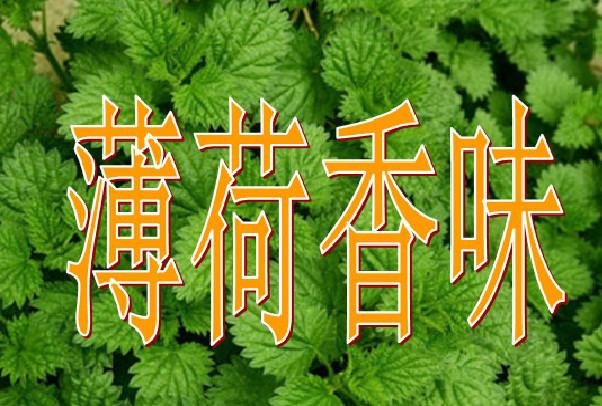 供应薄荷芳香整理剂家纺加香剂香味胶囊图片