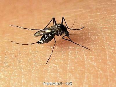 供應(yīng)簡陽滅蟑螂公司、簡陽滅鼠公司、簡陽滅白蟻公司
