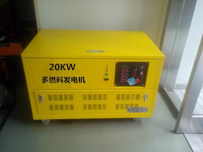 全自动20KW发电机静音汽油发电机YT20RGF-ATS带轮子