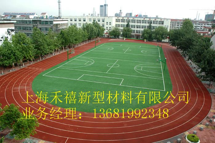 透氣型塑膠跑道圖片/透氣型塑膠跑道樣板圖 (2)