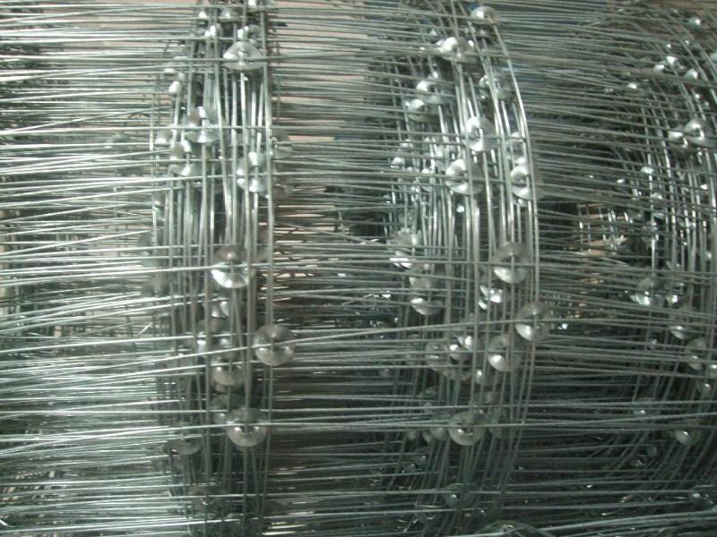 供應(yīng)出口俄羅斯環(huán)扣型草原網(wǎng)牛欄網(wǎng) 出口俄羅斯環(huán)扣型草原網(wǎng)牛欄網(wǎng)養(yǎng)鹿