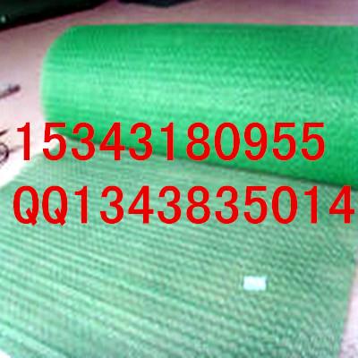 河北安平三維植被網(wǎng)三維網(wǎng)護坡網(wǎng)草破網(wǎng)