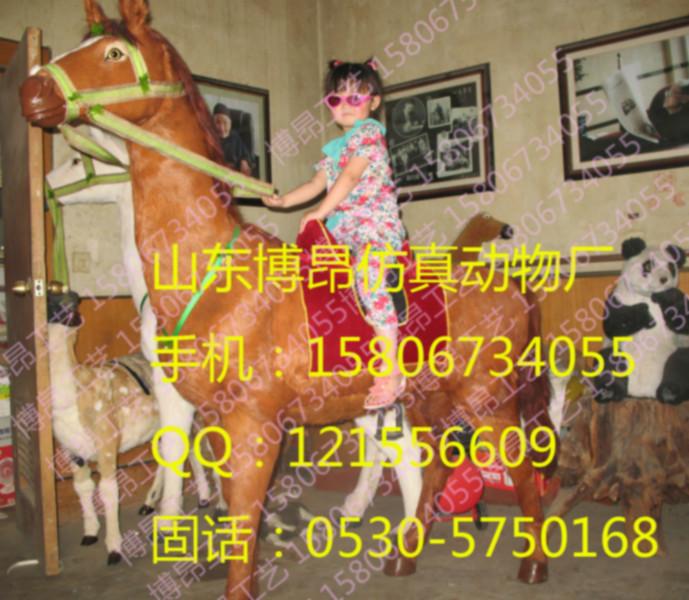 山東仿真駱駝廠家*惠，專業(yè)駱駝模型制作聯(lián)系電話