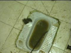 成都化糞池清掏，成都汽車抽糞