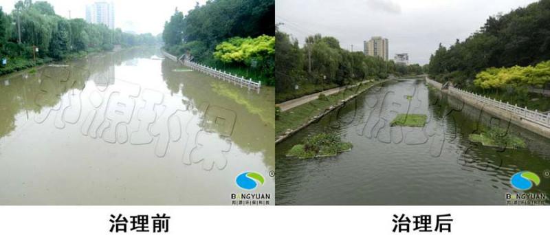 北京浮萍治理*者邦源環(huán)保