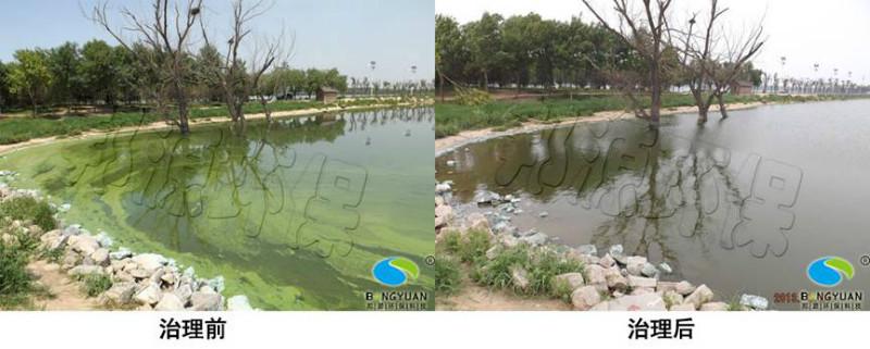 相約南湖水環(huán)境治理圖片