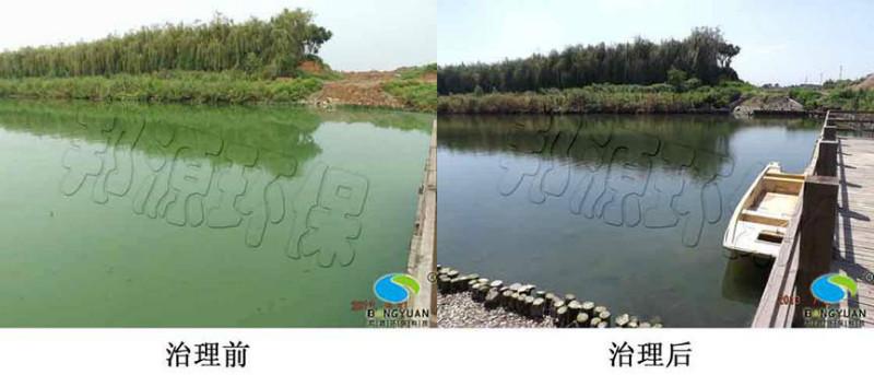 供應(yīng)邦源環(huán)保水污染生物治理