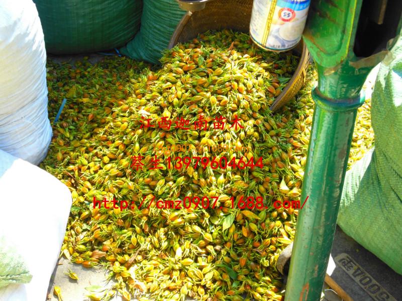 供應(yīng)河南梔子苗