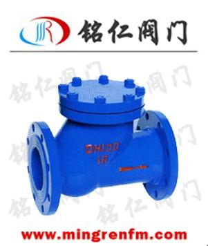 供應滑道滾球式止回閥廠家，HQ41X型滑道滾球式止回閥報價