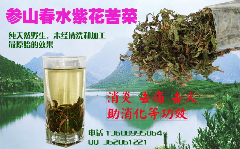 野生紫花苦菜茶子的功效与作用图片