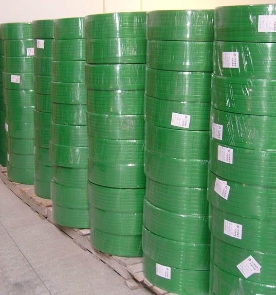 供應(yīng)廈門PET塑鋼帶