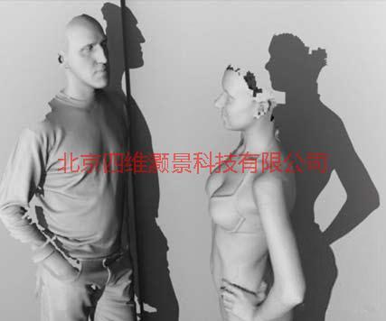 供應(yīng)Artec TDSL-1.1 3D掃描儀4DP三維掃描儀