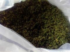 甘味圖片/甘味樣板圖 (4)