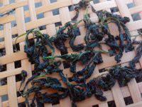 供應湘西甘味絞股藍廠家批發(fā)，湘西甘味絞股藍廠家批發(fā)價格