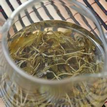 供應(yīng)龍須苦甘露，龍須苦甘露茶，龍須苦甘露茶葉，龍須苦甘露生產(chǎn)廠家