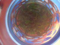 供應(yīng)廣州絞股藍公司