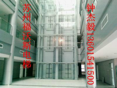 供應(yīng)800公斤福沃斯方形室內(nèi)觀光電梯