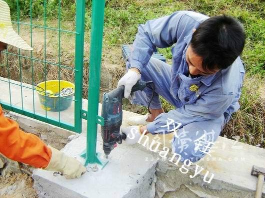 圍欄網(wǎng)圖片/圍欄網(wǎng)樣板圖 (3)