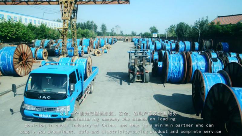 供應(yīng) ZRVVR22電纜RVVZ22軟電纜370+135*線