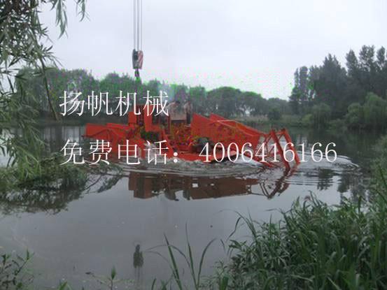 供應(yīng)水上割草船工藝，水葫蘆收割船，水葫蘆打撈船，水草收割粉碎船