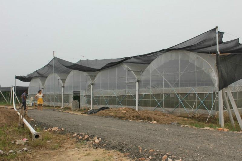 供應(yīng)大棚鋼管鎖頭機(jī)縮頭機(jī)