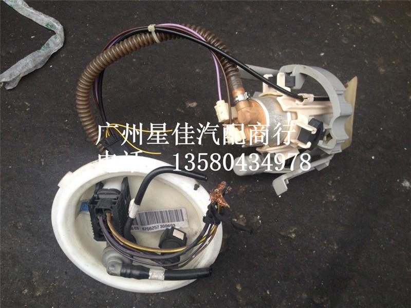 寶馬E66730735LI40LI745750汽油泵圖片/寶馬E66730735LI40LI745750汽油泵樣板圖 (3)