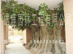 供應(yīng)仿真榕樹制作