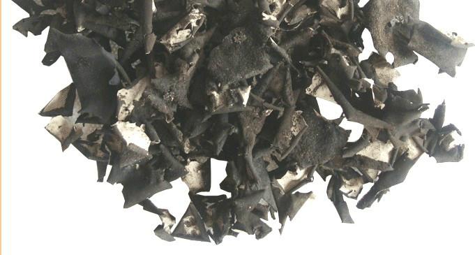 供應(yīng)石耳*免洗石耳*食用菌廠家