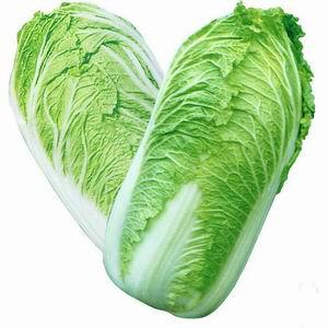 供應(yīng)進(jìn)口夏吉-白菜種子,優(yōu)質(zhì)白菜種子，白菜種子