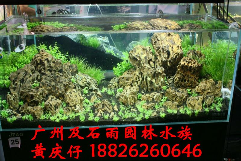 水族造景石松皮石|族造景石松皮石報(bào)價(jià)|族造景石松皮石廠家|族造景石