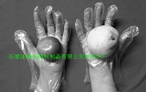 供應(yīng)透明塑料一次性手套銷售價(jià)格