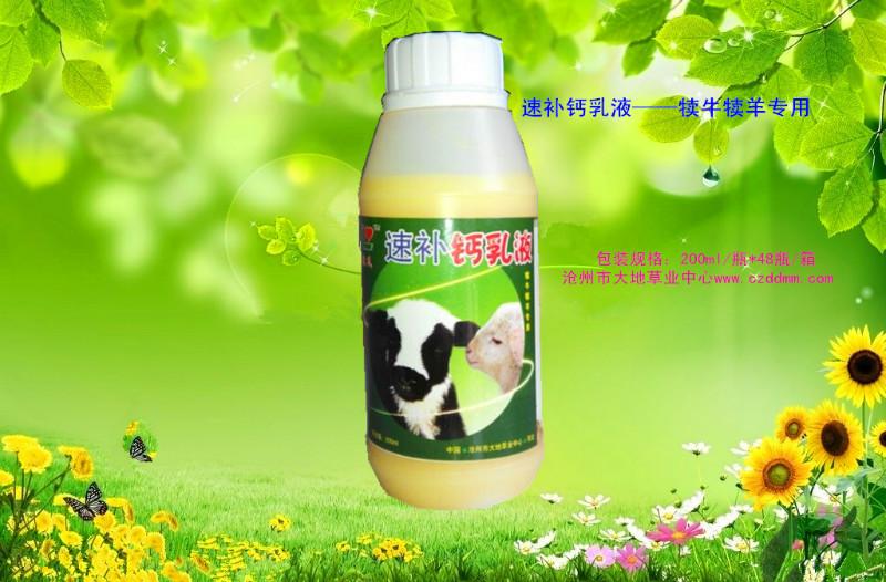 供應(yīng)速補(bǔ)鈣乳液——犢牛犢羊*供貨商
