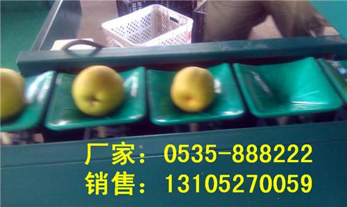 供應(yīng)蘋果自動(dòng)選果機(jī)生產(chǎn)廠家/蘋果尺寸分級(jí)系統(tǒng)原理/山東蘋果分揀機(jī)價(jià)格