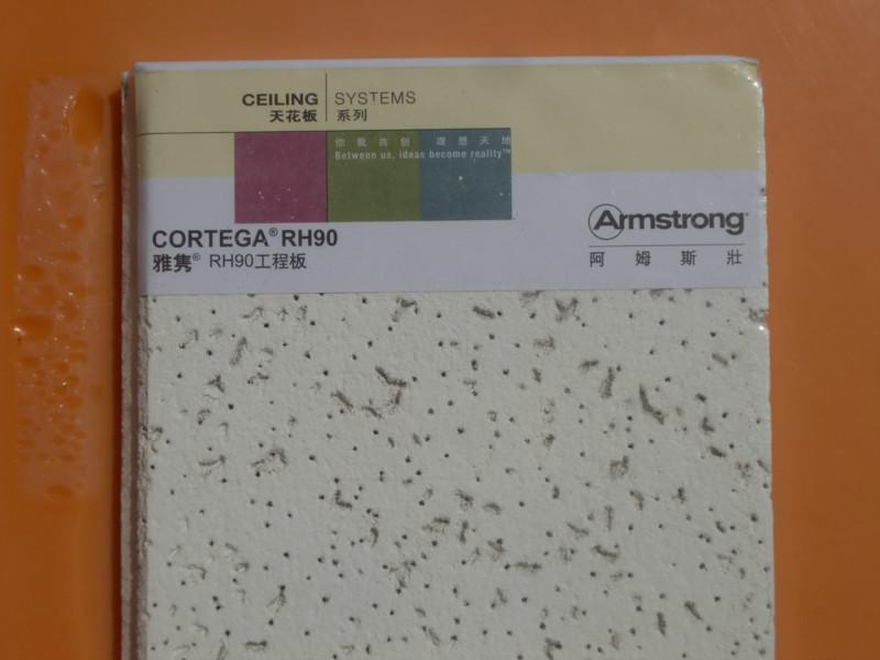 供應(yīng)阿姆斯壯毛毛蟲礦棉吸音板雅雋RH90